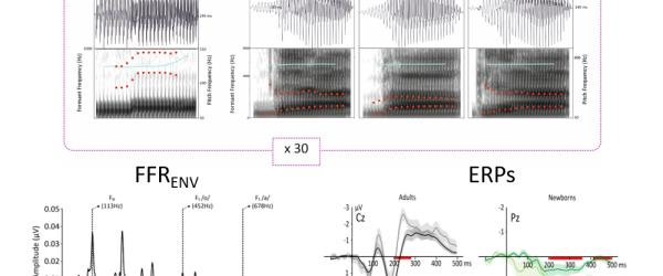 Brève scientifique 2026-02-10 Giulia