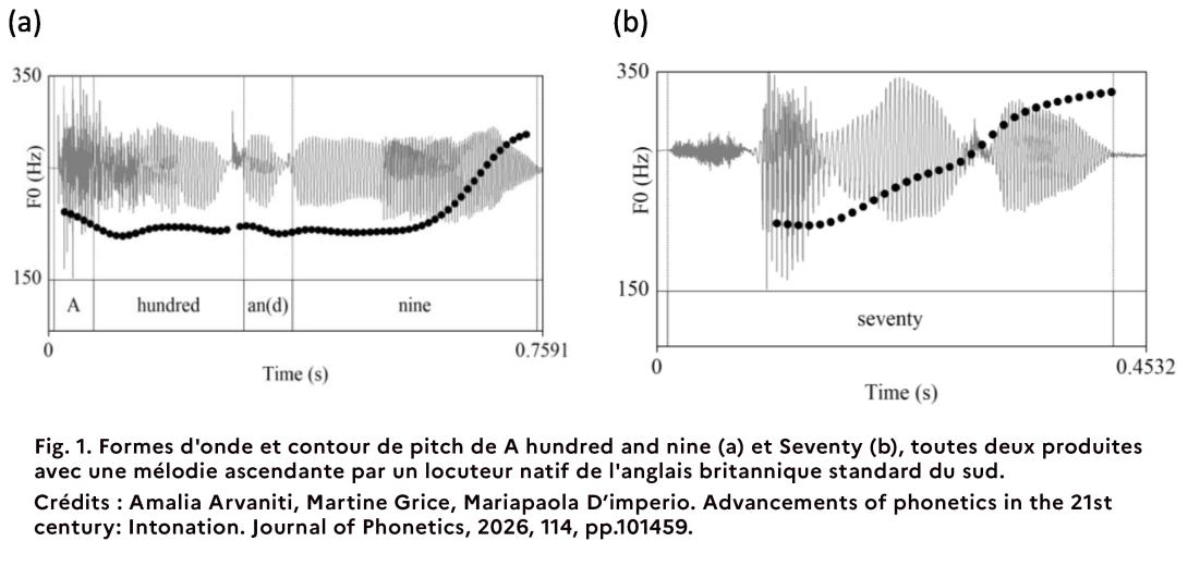 Brève scientifique Mariapaola D'Imperio 2026