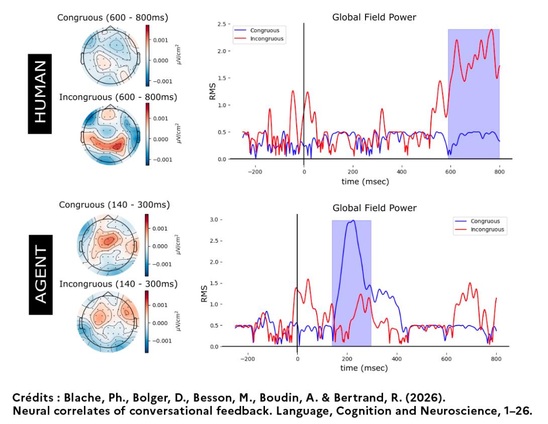 Brève scientifique Philippe Blache 2026