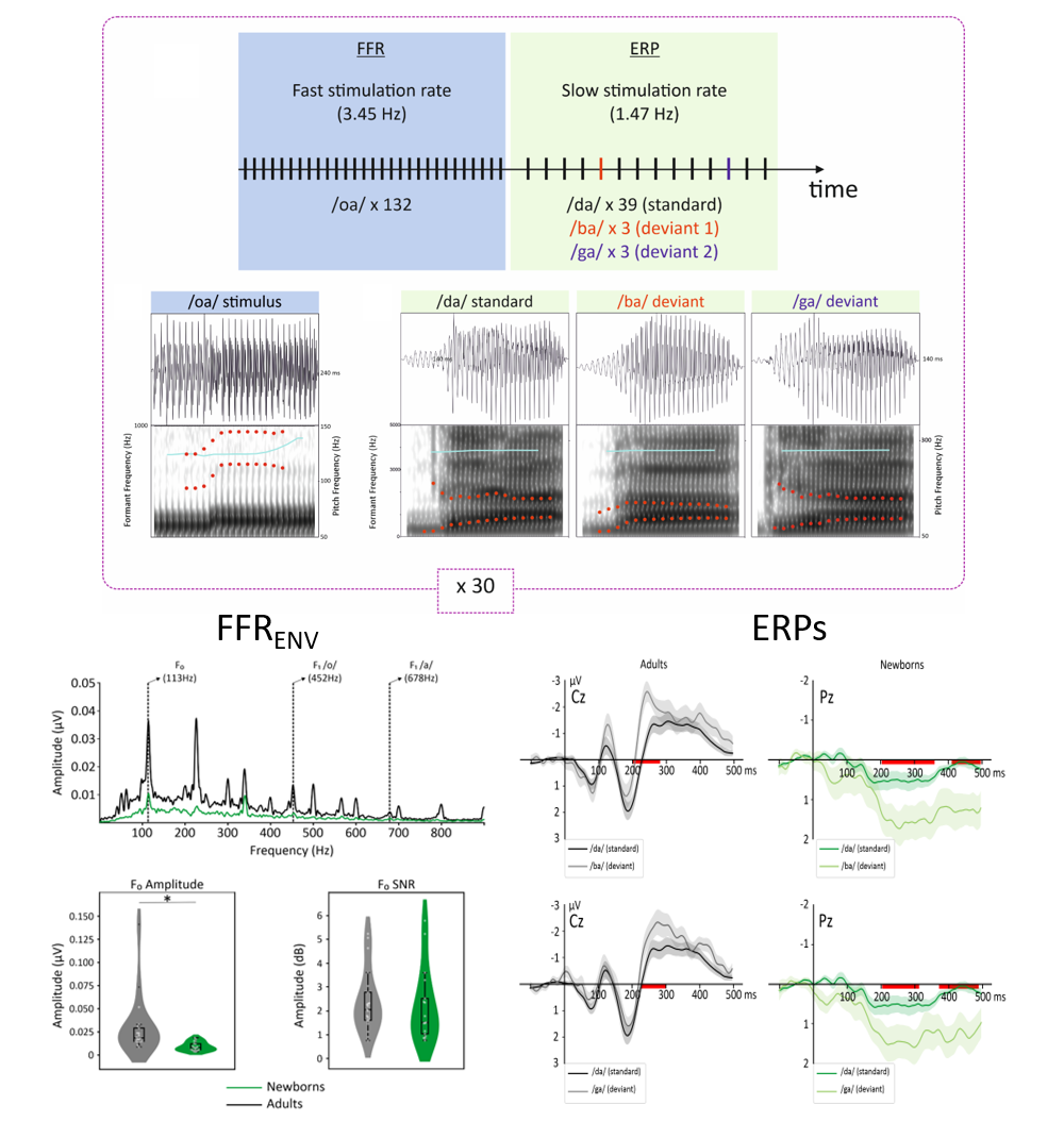Brève scientifique 2026-02-10 Giulia